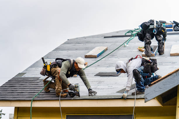 Professional Gutter Installation technician working in Exmore, VA